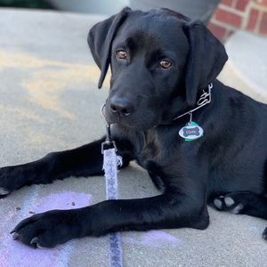 Meet your Posher, Nate